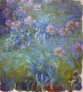 Claude Monet Agapanthus Spain oil painting artist